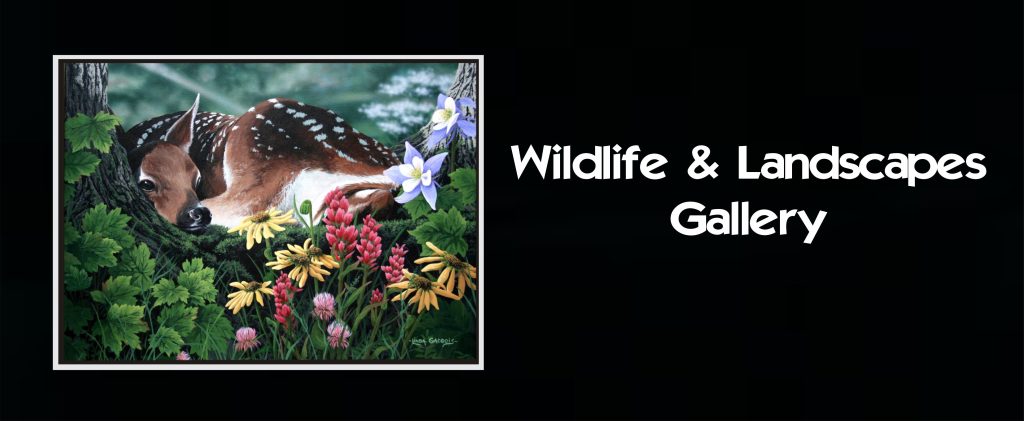Wildlife & Landscapes by Linda Gadbois