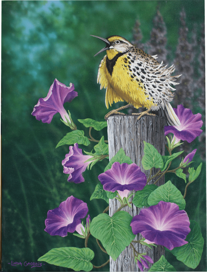 "Meadowlark" - Original Painting - Wildlife Art by Linda Gadbois