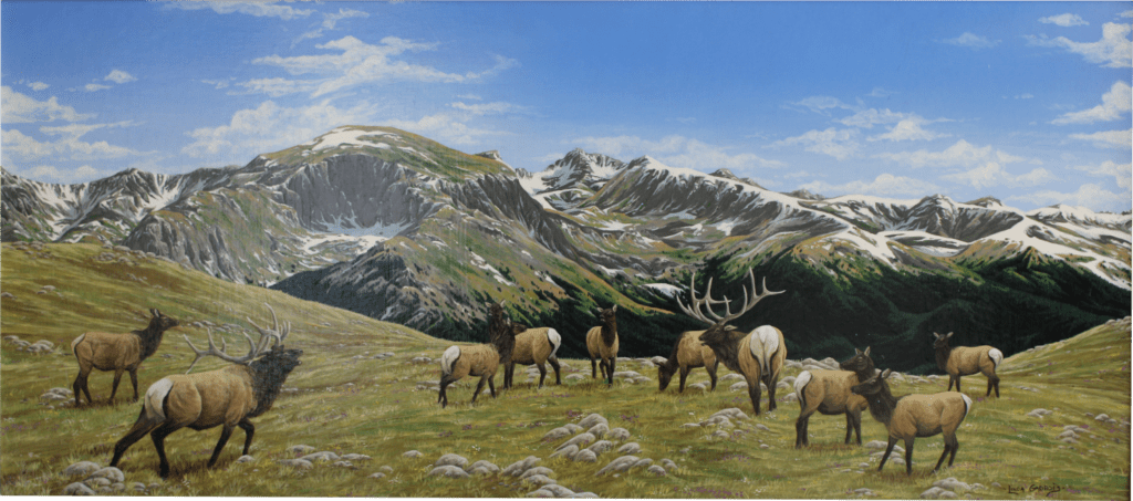 "Mountain Majesty" - Original Painting - Wildlife Art of Linda Gadbois