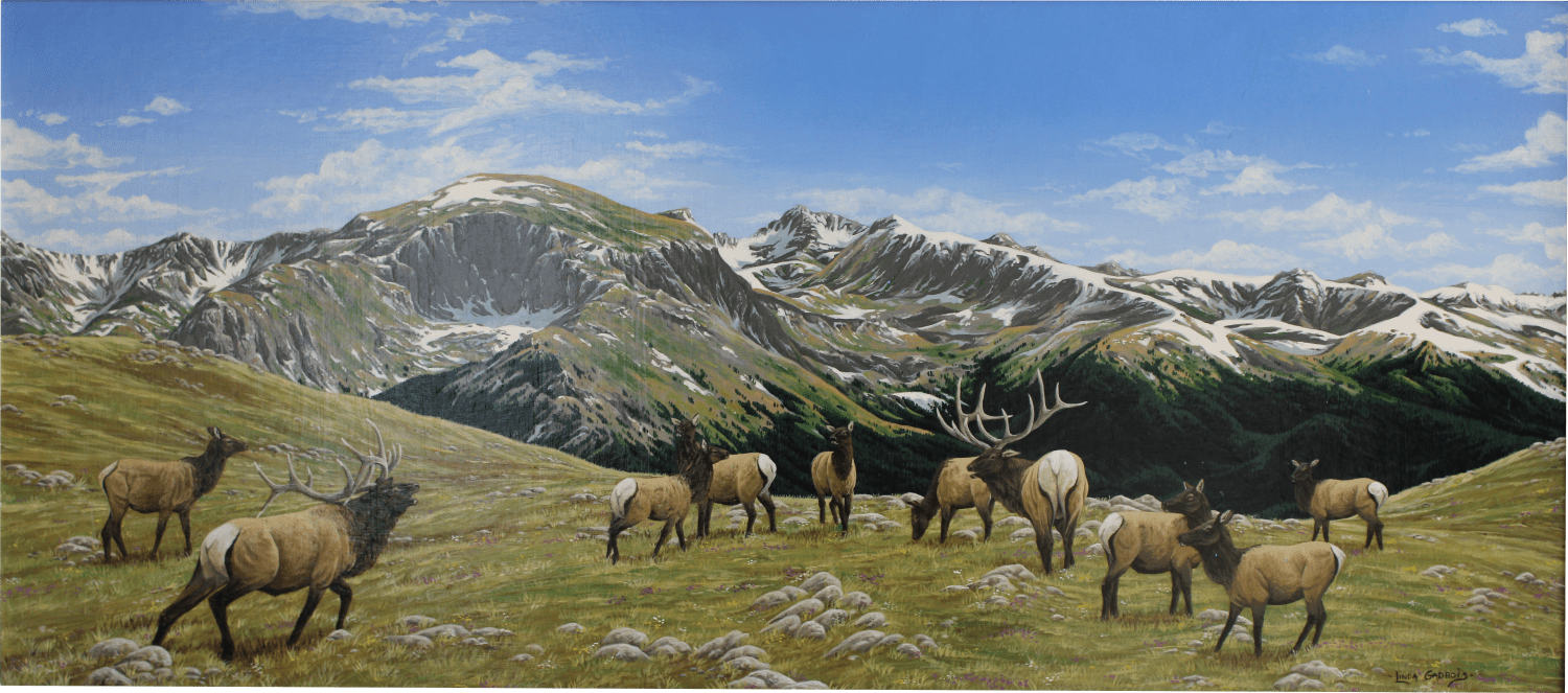 "Mountain Majesty" - Original Painting - Wildlife Art of Linda Gadbois